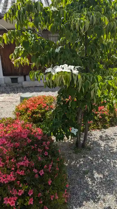 嘉祥寺(京都府)