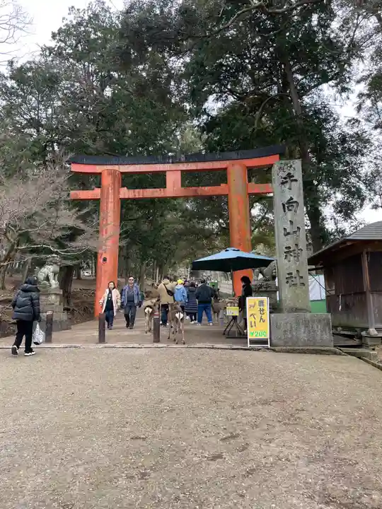 手向山八幡宮(奈良県)