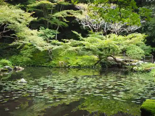 南禅院の庭園