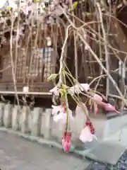 熊野神社の自然