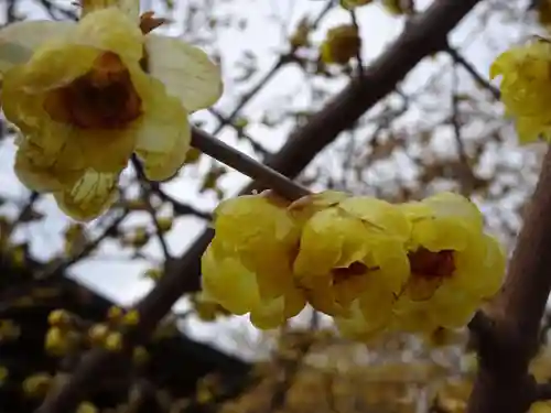 横浜　西方寺の自然