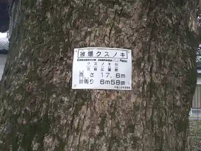 山王神社(長崎県)