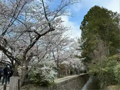 熊野若王子神社の自然