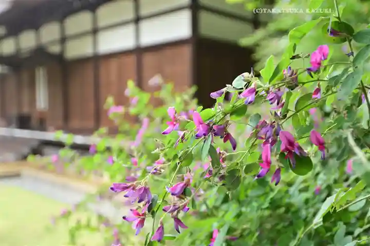 横浜 西方寺(神奈川県)