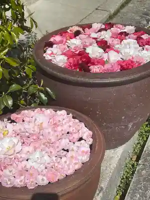 霊鑑寺門跡のその他建物