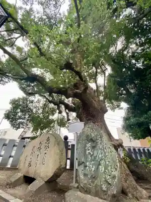 伊豫豆比古命神社(愛媛県)