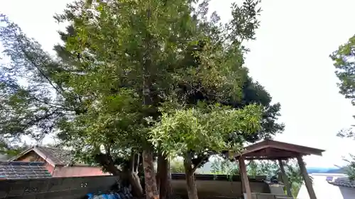 不動寺(和歌山県)