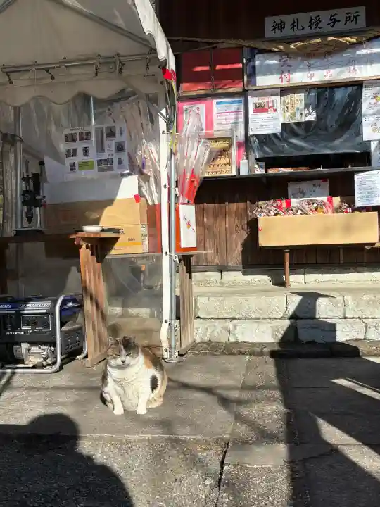賀茂別雷神社の{uncategorized: "未分類", other: "その他", undefined: "問題あり", building: "その他建物", grave: "お墓", sacred_gate: "鳥居", guardian: "狛犬", statue: "像", buddha: "仏像", history: "歴史", nature: "自然", garden: "庭園", animal: "動物", pagoda: "塔", temizu: "手水舎", mountain_gate: "山門・神門", sanctuary: "本殿・本堂", subordinate: "末社・摂社", art: "芸術", scenery: "景色", jizo: "地蔵", ema: "絵馬", goshuin: "御朱印", omikuji: "おみくじ", items: "授与品その他", amulet: "お守り", goshuincho: "御朱印帳", eats: "食事", festival: "お祭り", votive_dance: "神楽", shichigosan: "七五三参", wedding: "結婚式", experience: "体験その他", initially: "初詣", around: "周辺", anti_infection: "感染症対策"}