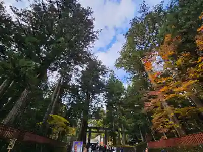 日光東照宮(栃木県)
