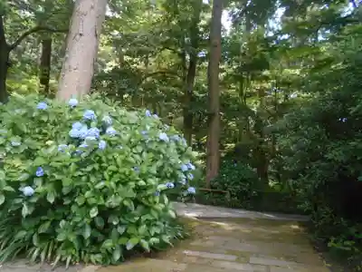 妙本寺(神奈川県)