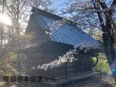 龍福寺 鳥羽堂観音(長野県)