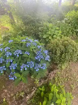 隆国寺(兵庫県)