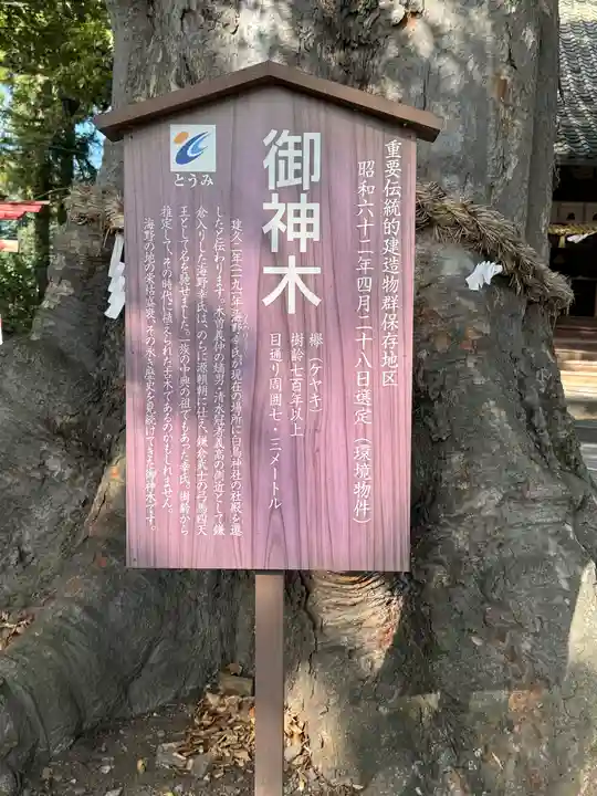 白鳥神社(長野県)