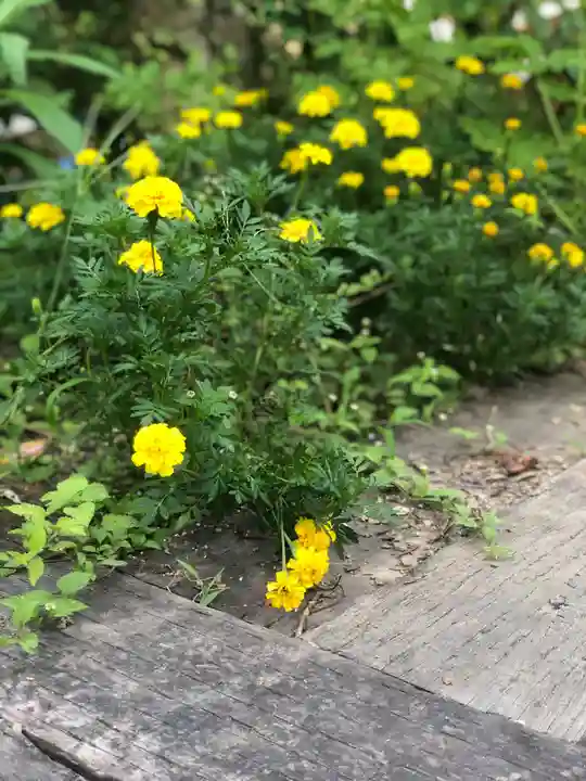 木舟山 順教寺の自然