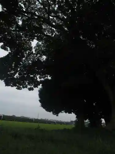 裏つくば、恋瀬川沿いの神社(茨城県)