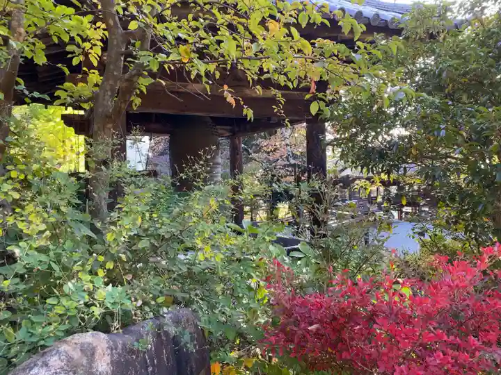 大善寺のその他建物