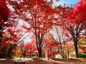 土津神社|こどもと出世の神さまの自然(2021年11月05日(金) 11時13分59秒投稿)