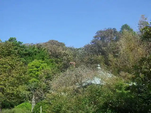 浄光明寺の自然