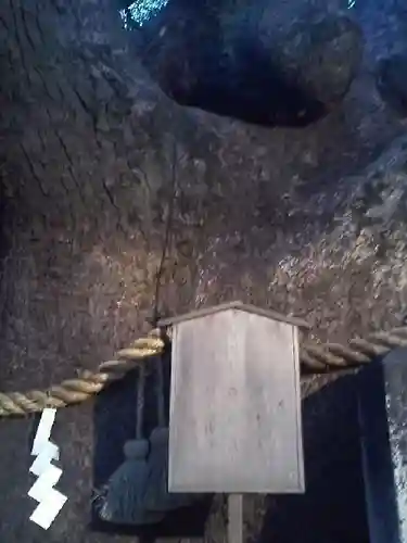 三島神社の自然