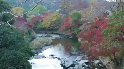 光明寺瑠璃光院の周辺