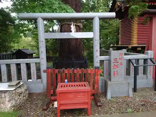 大杉神社の自然