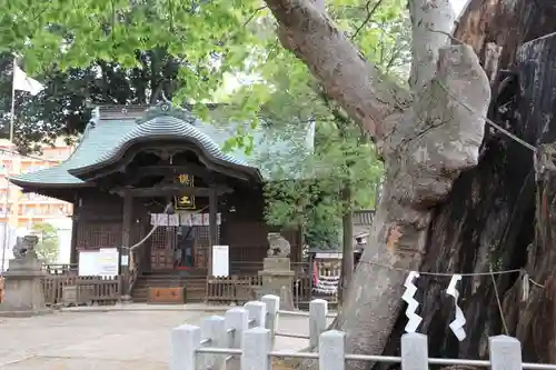 阿邪訶根神社の本殿・本堂