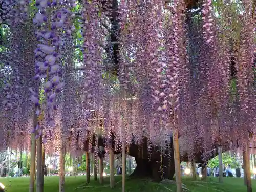 かっぱの寺 栖足寺の自然