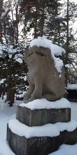 上川神社の狛犬