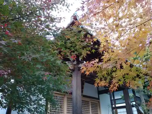 法華寺の自然