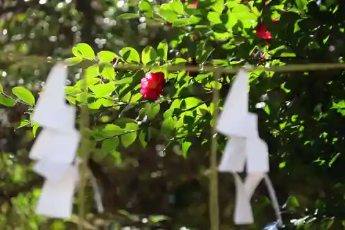 神炊館神社 ⁂奥州須賀川総鎮守⁂の自然