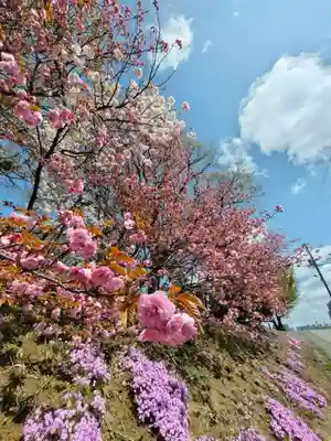 厚別神社(北海道)