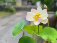 伊勢の国 四天王寺の自然