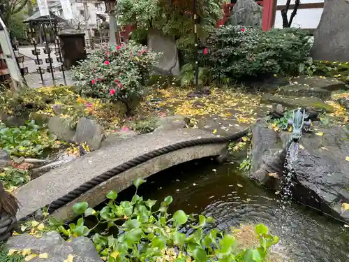 素盞雄神社の庭園