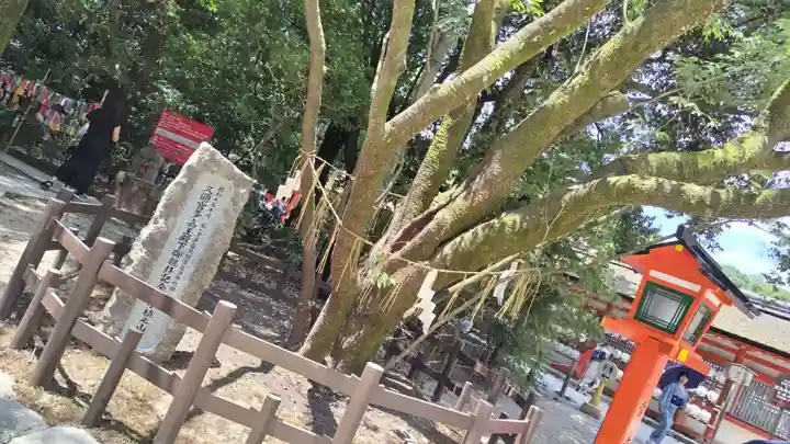 賀茂御祖神社(下鴨神社)(京都府)