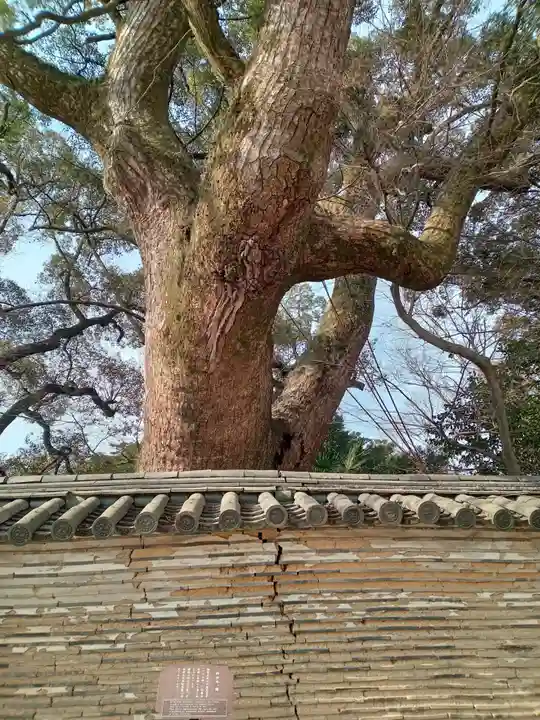 石清水八幡宮(京都府)