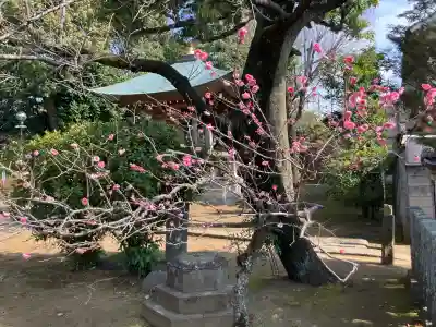 圓融寺の{uncategorized: "未分類", other: "その他", undefined: "問題あり", building: "その他建物", grave: "お墓", sacred_gate: "鳥居", guardian: "狛犬", statue: "像", buddha: "仏像", history: "歴史", nature: "自然", garden: "庭園", animal: "動物", pagoda: "塔", temizu: "手水舎", mountain_gate: "山門・神門", sanctuary: "本殿・本堂", subordinate: "末社・摂社", art: "芸術", scenery: "景色", jizo: "地蔵", ema: "絵馬", goshuin: "御朱印", omikuji: "おみくじ", items: "授与品その他", amulet: "お守り", goshuincho: "御朱印帳", eats: "食事", festival: "お祭り", votive_dance: "神楽", shichigosan: "七五三参", wedding: "結婚式", experience: "体験その他", initially: "初詣", around: "周辺", anti_infection: "感染症対策"}