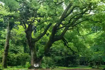 曽許乃御立神社(静岡県)