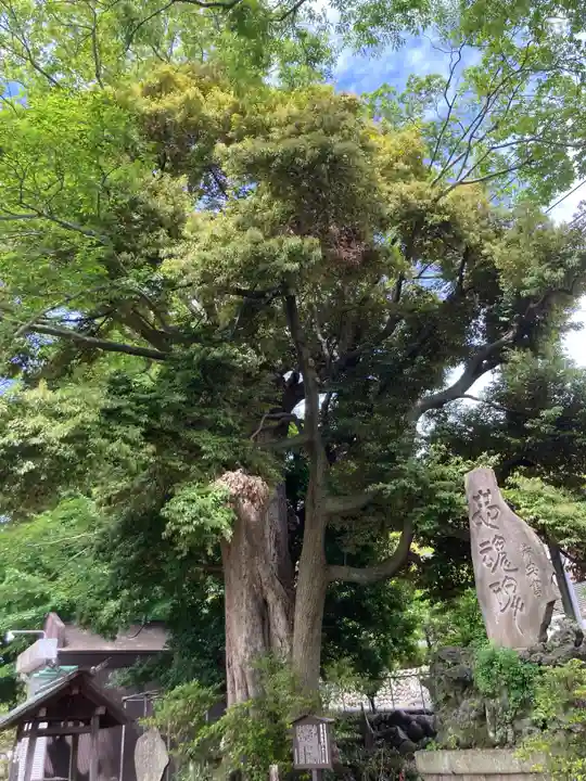 菅原神社(神奈川県)