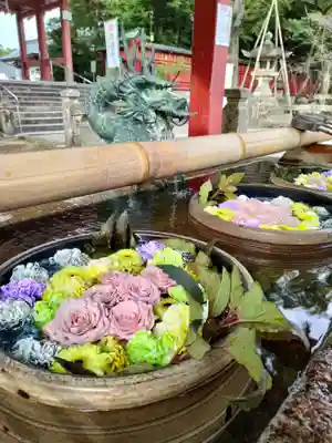津島神社の手水舎