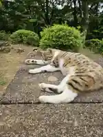 玉野御嶽神社(愛知県)