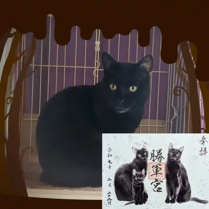 駒込妙義神社の御朱印