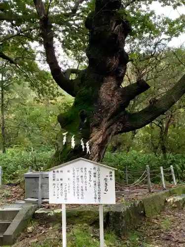 那須温泉神社(栃木県)