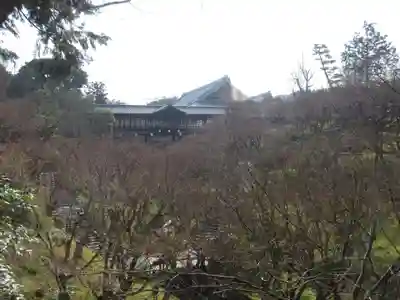 東福禅寺（東福寺）の周辺