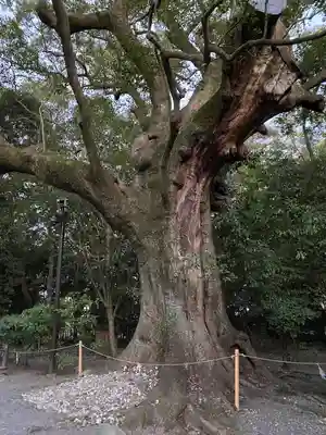 月夜見宮（豊受大神宮別宮）(三重県)