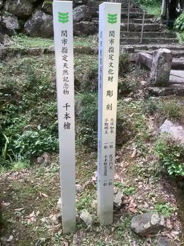 日龍峯寺(高澤観音)(美濃清水)の歴史