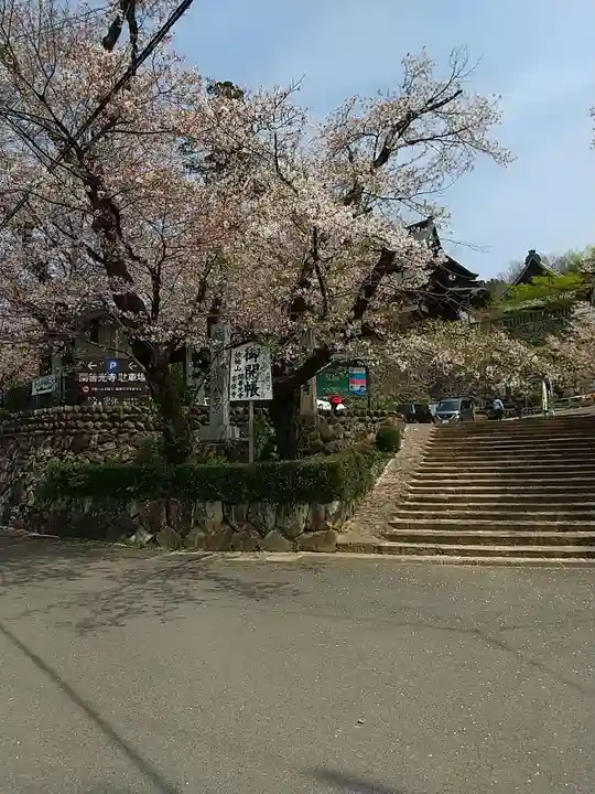 関善光寺の自然
