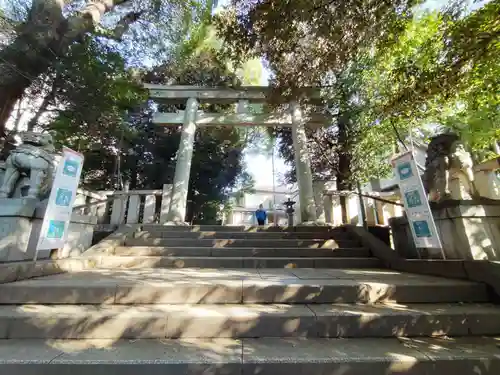 渋谷氷川神社の鳥居