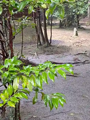 安仁神社の{uncategorized: "未分類", other: "その他", undefined: "問題あり", building: "その他建物", grave: "お墓", sacred_gate: "鳥居", guardian: "狛犬", statue: "像", buddha: "仏像", history: "歴史", nature: "自然", garden: "庭園", animal: "動物", pagoda: "塔", temizu: "手水舎", mountain_gate: "山門・神門", sanctuary: "本殿・本堂", subordinate: "末社・摂社", art: "芸術", scenery: "景色", jizo: "地蔵", ema: "絵馬", goshuin: "御朱印", omikuji: "おみくじ", items: "授与品その他", amulet: "お守り", goshuincho: "御朱印帳", eats: "食事", festival: "お祭り", votive_dance: "神楽", shichigosan: "七五三参", wedding: "結婚式", experience: "体験その他", initially: "初詣", around: "周辺", anti_infection: "感染症対策"}