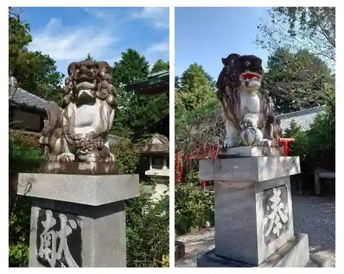 加佐登神社の狛犬