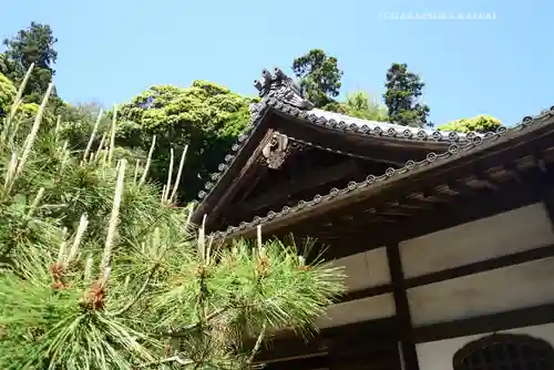 円覚寺(神奈川県)
